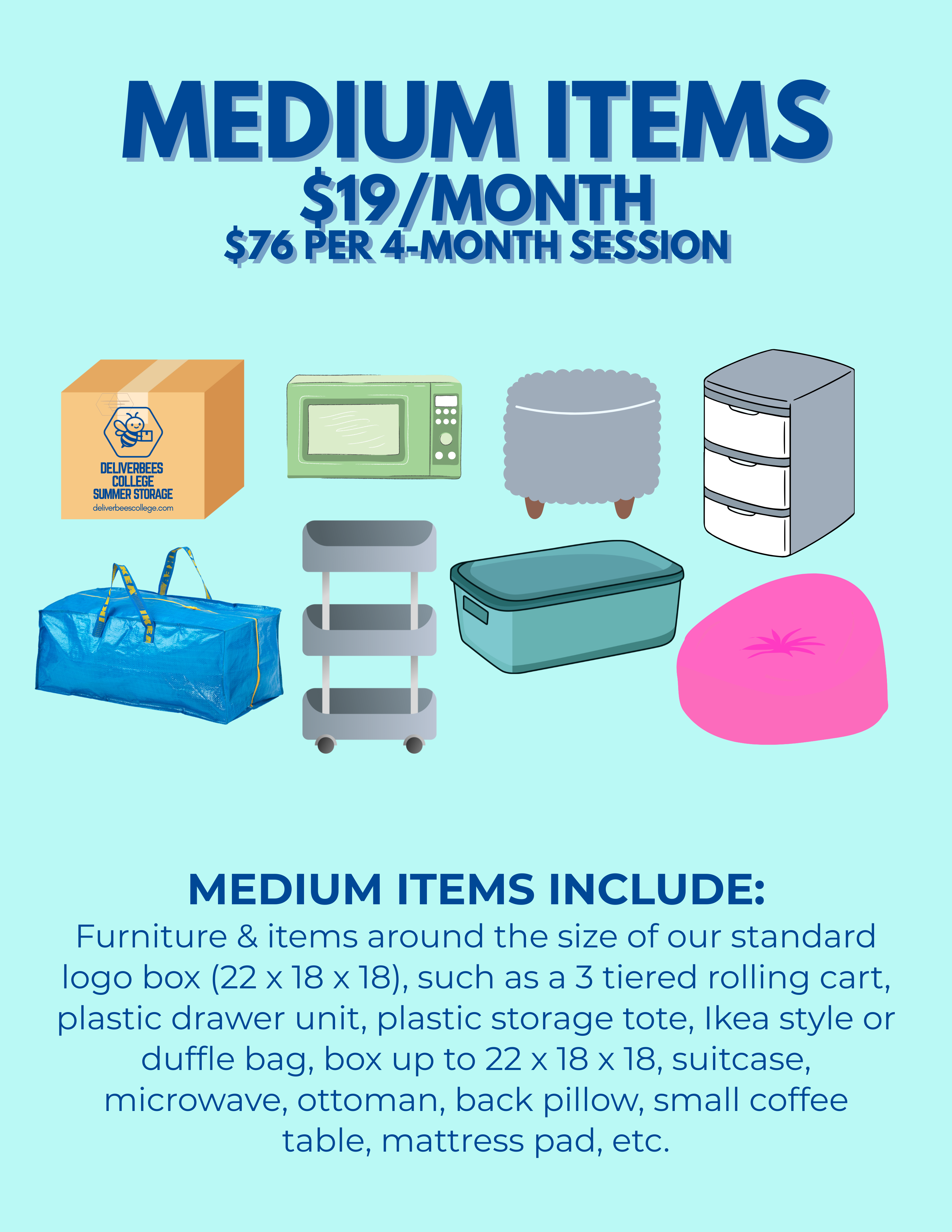 Summer Storage Pricing – deliverbees college